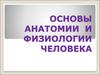 Основы анатомии и физиологии человека