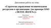 Стратегия управления человеческими ресурсами в организации (на примере ОАО «ЭКТОС-ВОЛГА»)
