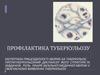Профілактика туберкульозу. (Лекція 4)