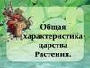Общая характеристика царства Растения