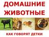 Домашние животные. Как говорят детки