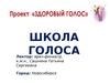 Здоровый голос
