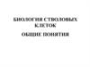 Биология стволовых клеток: общие понятия