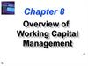 Overview of Working Capital Management