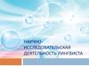 Научно-исследовательская деятельность лингвиста. Деятельность, направленная на получение и применение новых знаний