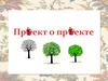 Проект о проекте