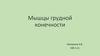 Мышцы грудной конечности