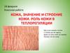 Кожа, значение и строение кожи. Роль кожи в теплорегуляции