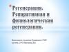 Регенерация тканей. Репаративная и физиологическая регенерация