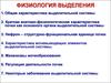 Физиология выделения. Характеристика выделительной системы
