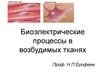 Биоэлектрические процессы в возбудимых тканях