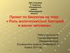 Роль молочнокислых бактерий в жизни человека