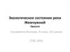 Состояние реки Жемчужной