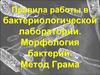 Правила работы в бактериологической лаборатории. Морфология бактерий. Метод Грама