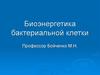 Биоэнергетика бактериальной клетки