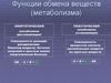 Функции обмена веществ (метаболизм)
