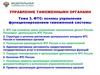 Федеральная таможенная служба: основы управления функционированием таможенной системы