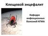 Клещевой энцефалит