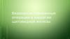 Видеоассистированные операции в хирургии щитовидной железы