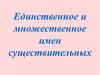 Единственное и множественное число имен существительных