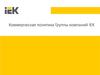 Коммерческая политика группы компаний IEK