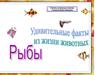 Удивительные факты из жизни животных. Рыбы