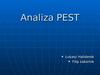 Analiza PEST