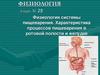Физиология системы пищеварения. Характеристика процессов пищеварения в ротовой полости и желудке
