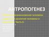Антропогенез. Гипотезы возникновения человека. Сходство и различия человека и животных. (Часть 6)