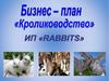 Бизнес-план "Кролиководство"