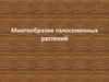 Голосеменные растения