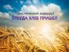 Туристический маршрут выходного дня «Откуда хлеб пришел»