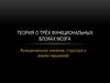 Теория о трёх функциональных блоках мозга. Функциональное значение, структура и анализ нарушений