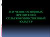 Изучение основных вредителей сельскохозяйственных культур
