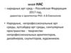 Музей НАС – народных арт сред