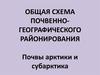Общая схема почвенно-географического районирования. Почвы арктики и субарктика