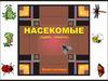Насекомые (один - много)