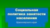 Социальная политика занятости населения