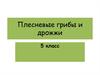 Плесневые грибы и дрожжи