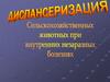 Диспансеризация сельскохозяйственных животных при внутренних незаразных болезнях