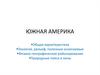 Южная Америка. Геология, рельеф, полезные ископаемые. Физико-географическое районирование. Природные пояса и зоны