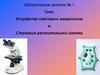 Устройство светового микроскопа и строение растительной клетки