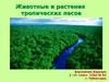 Животные и растения тропиков