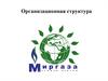 Организационная структура. "Мир газа"