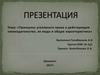 Принципы уголовного права в действующем законодательстве, их виды и общая характеристика