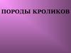 Породы кроликов