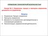 Управление техносферной безопасностью. Управление, процесс и принципы управления, документы по управлению. (Лекция 1)