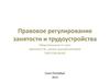 Правовое регулирование занятости и трудоустройства. (11 класс)