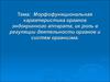 Морфофункциональная характеристика органов эндокринного аппарата, их роль в регуляции деятельности органов и систем организма