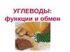 Углеводы: функции и обмен